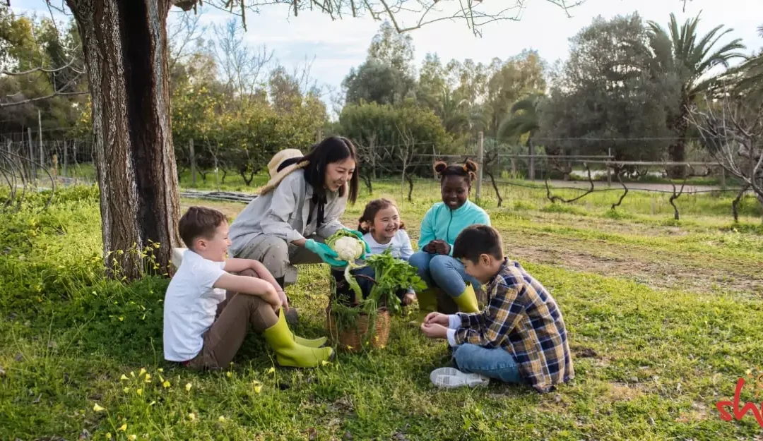 Empowering Future Generations: Best Practices for Sustainability in Childcare