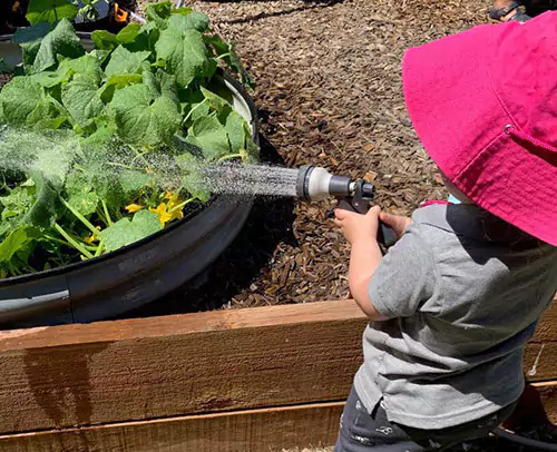 child watering plants